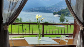 Lily Lake Maggiore